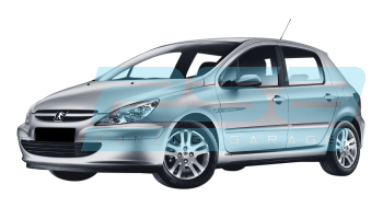 PSA Tuning - Model Peugeot 307